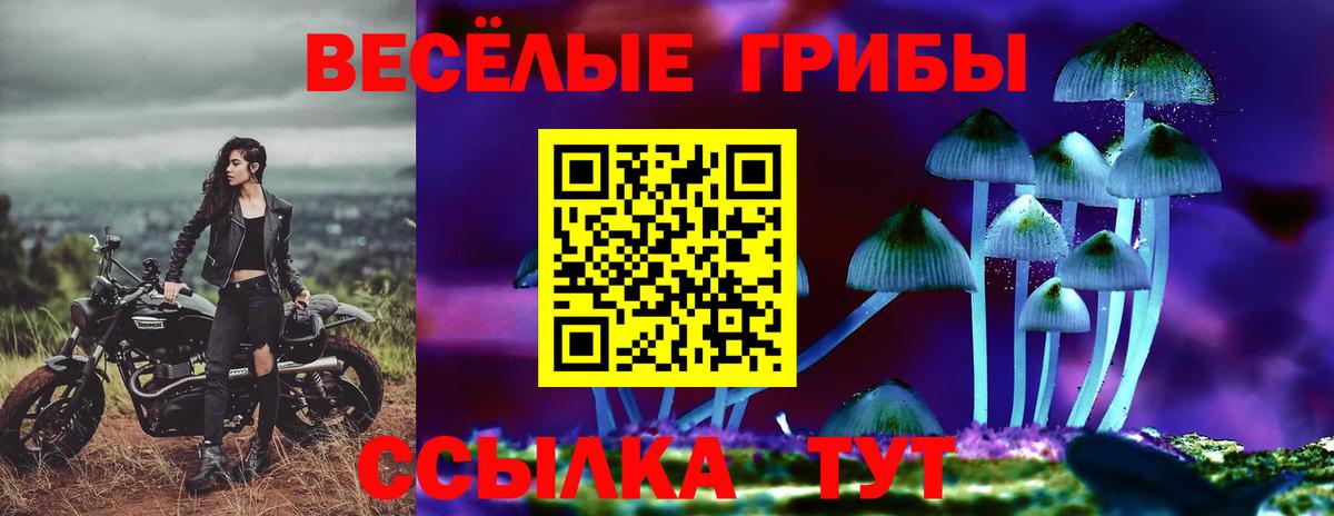 Псилоцибиновые грибы Cubensis  Псилоцибиновые грибы GOLDEN TEACHER  Вход с VPN  дарнет шоп  Заводоуковск 